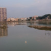 Tomorrow is result 