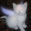 Ny4rl4th0tt3pp14