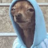 Aaaaa