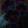 Black_Rose 212