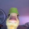 Lukaacutescaron 