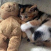 Hello Itsme