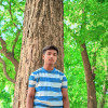 Fareed
